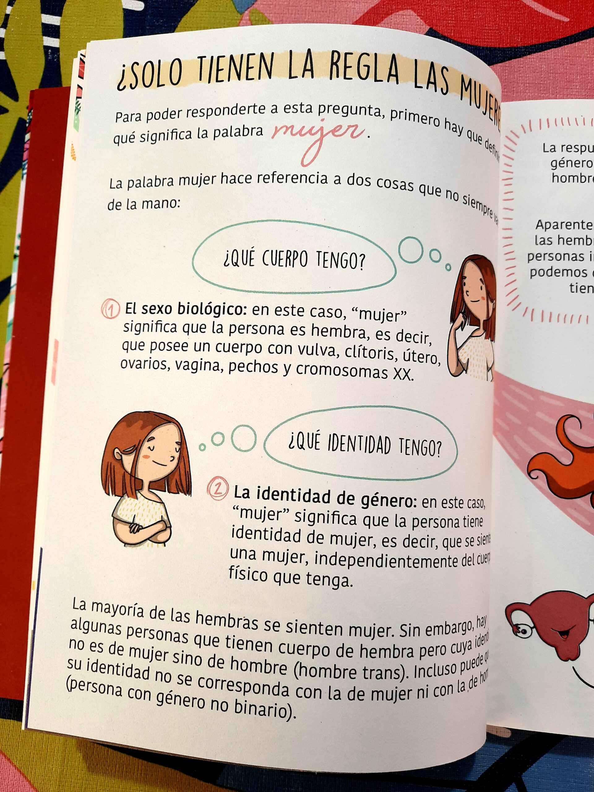 La regla mola': el libro que enseña a disfrutar de la menstruación