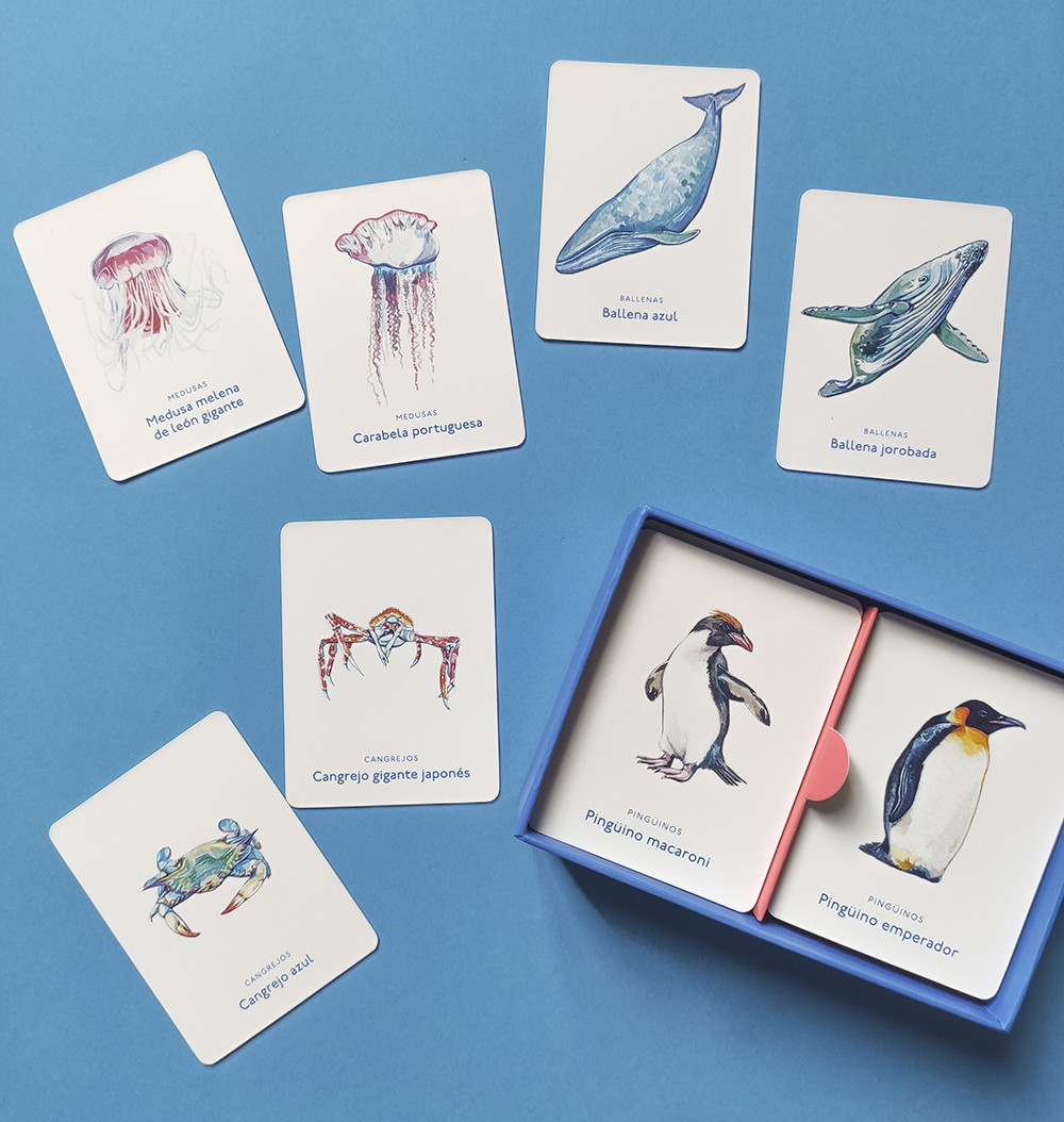 Un mar de animales - Imagen 2