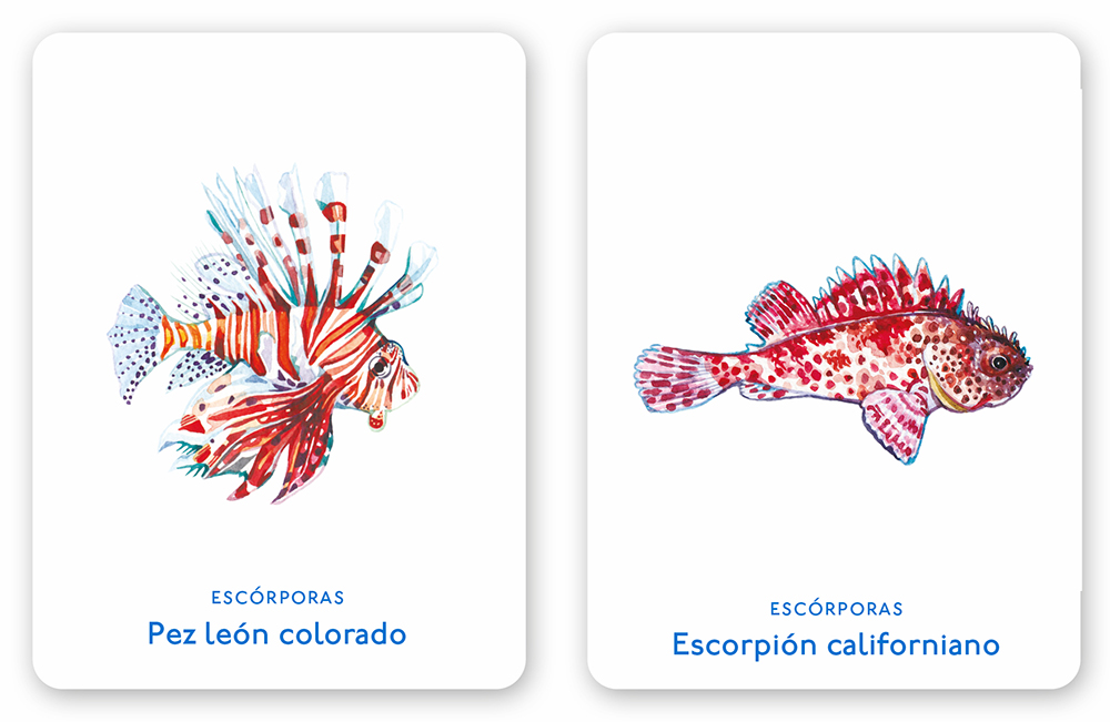 Un mar de animales - Imagen 4