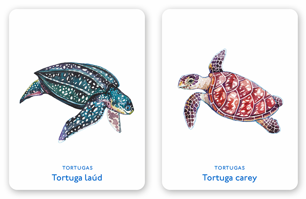 Un mar de animales - Imagen 5