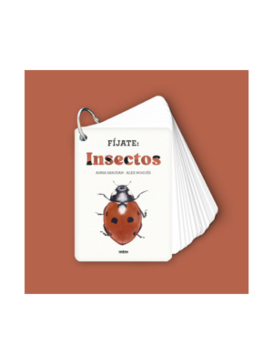 Fíjate: insectos