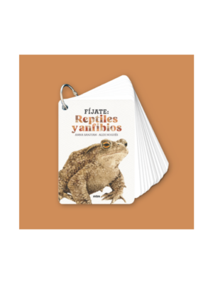 Fíjate: reptiles y anfibios